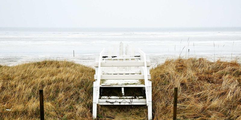 Network Technology 62:当软件开发遇见波西米亚设计,如何重塑Web解决方案的未来