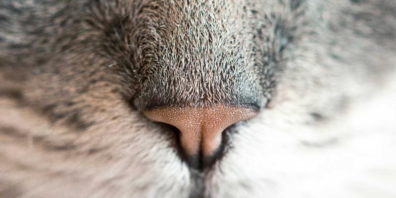 Network Technology 65：编程与IT服务如何重塑现代网络架构