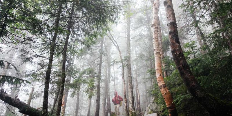 Wi-Fi 7与5G-A融合组网：重塑企业级网络技术与IT服务的未来