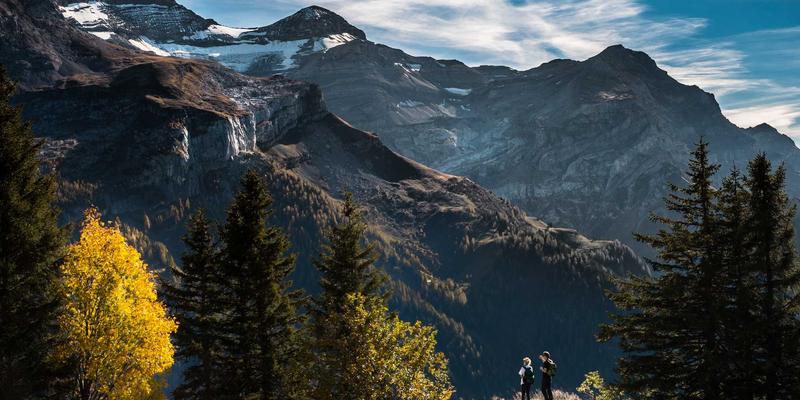 从波西米亚设计到智慧城市：NB-IoT与LTE-M的编程部署与网络解决方案