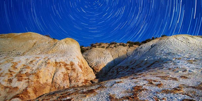 从波西米亚设计到智能网络：基于意图的网络（IBN）如何重塑Web解决方案与软件开发