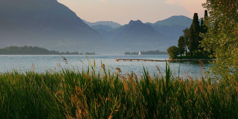 意图驱动网络（IDN）：通过编程化网络解决方案实现业务意图的自动协同