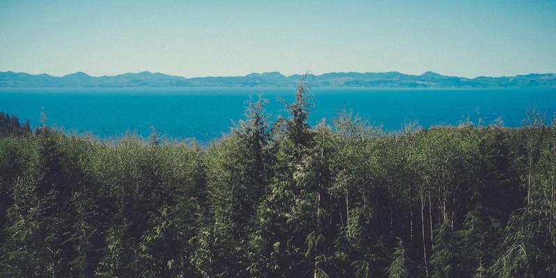 智能守护网络：基于AI的网络流量分析与异常检测实战指南