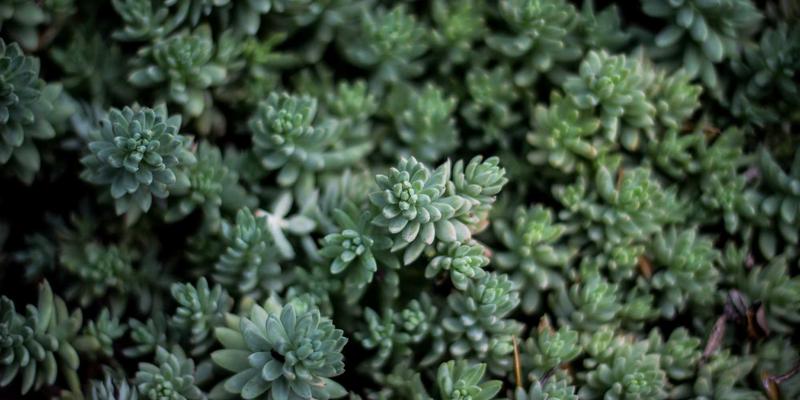 波西米亚设计与编程思维：网络技术进阶的创造性融合