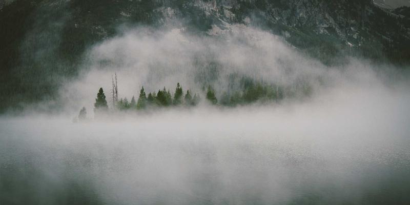 波西米亚设计哲学与软件开发：基于意图的网络（IBN）如何重塑数据中心Web解决方案