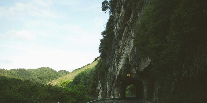 波西米亚设计思维与网络技术融合：P4可编程数据平面如何重塑下一代交换设备