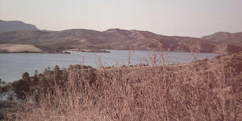 编程视角下的SD-WAN革命：如何通过软件定义重塑多云连接架构与Web解决方案