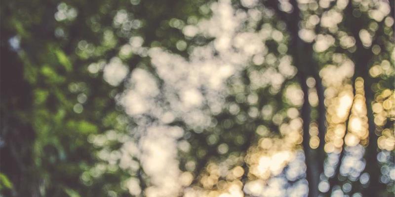 网络功能虚拟化（NFV）如何重塑核心网：一份关于成本效益与未来IT服务的深度分析