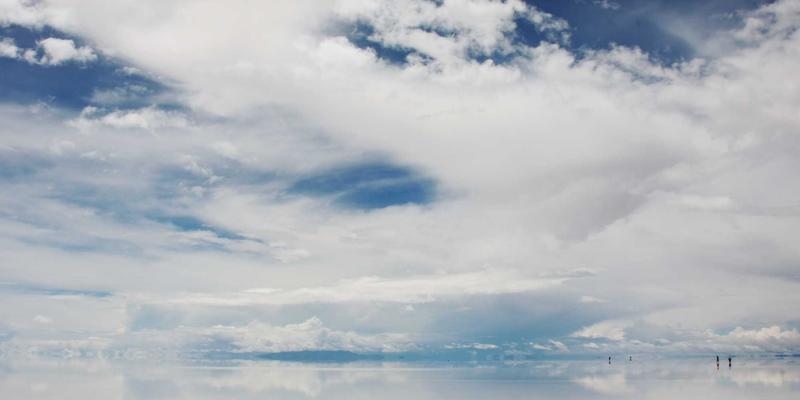 网络技术应用：编程、Web解决方案与IT服务如何重塑数字未来