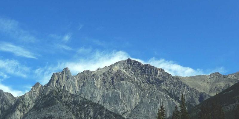 融合未来：SD-WAN与SASE如何重塑企业Web解决方案与IT服务架构