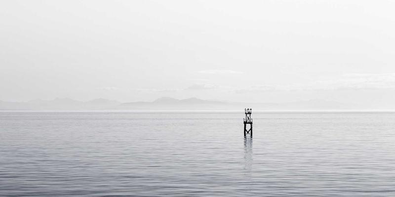 软件开发与网络技术融合：波西米亚设计思维下的时间敏感网络（TSN）如何重塑工业自动化与车联网